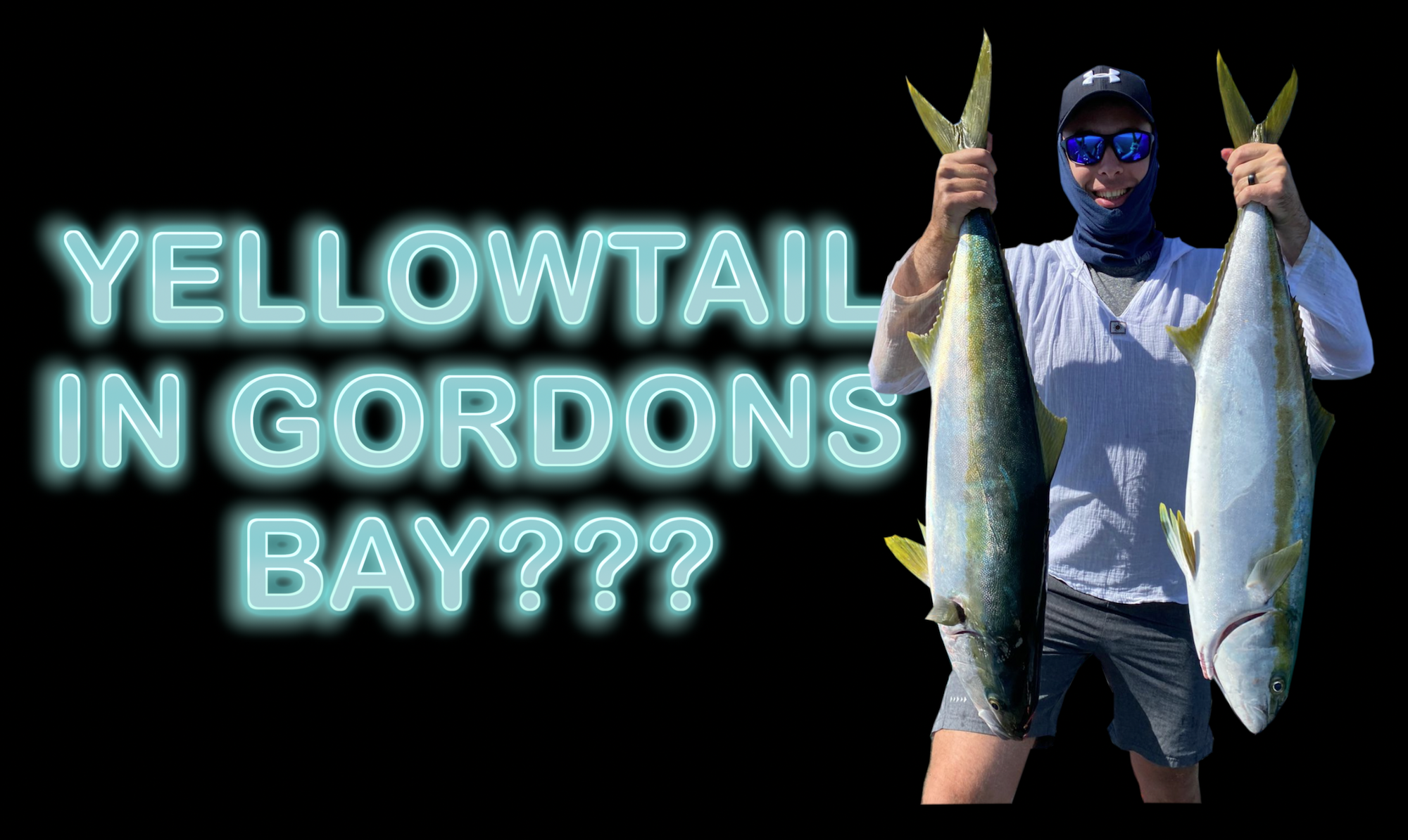 YELLOWTAIL